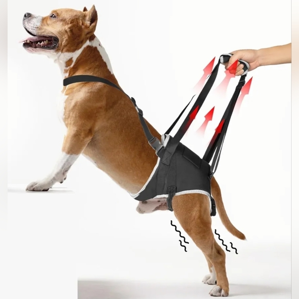 NWT Dog Lift Harness for Large Dogs - Picture 2 of 7
